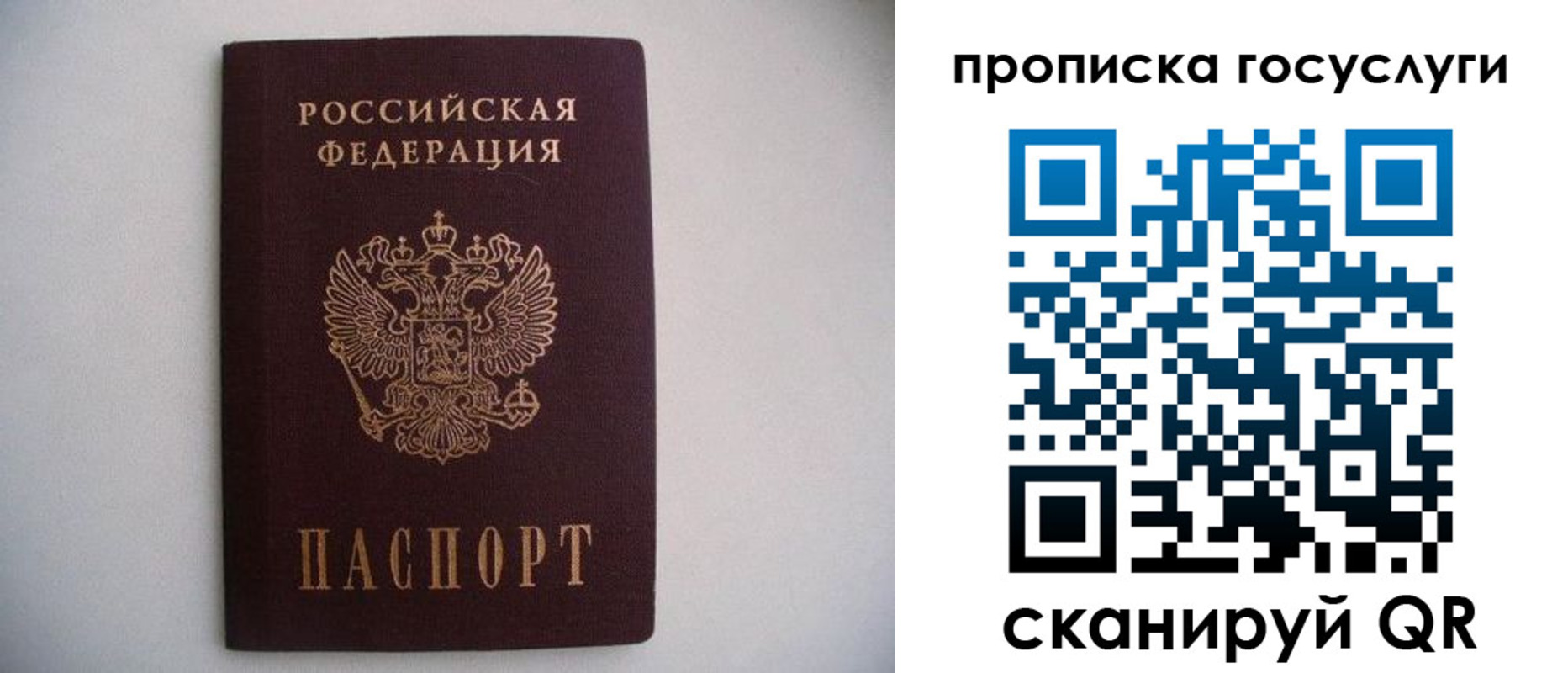 прописка в квартире в Реже